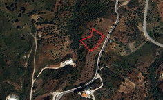 Residential 3846 m2 for sale in Drouseia, Paphos