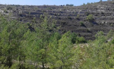 Luxury land for sale in Lofou, Limassol Luxury land for sale in Lofou, Limassol