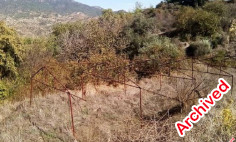 Spacious residential for sale in Louvaras, Limassol