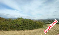 Residential 3345 m2 for sale in Pyrgos, Limassol