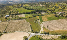 Spacious residential for sale in Anogyra, Limassol
