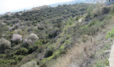 Residential 670 m2 for sale in Tala, Paphos