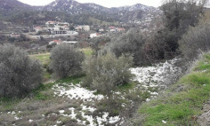 (residential) in Evrychou, Nicosia for sale , Nicosia