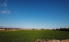 (industrial) in Lakatamia, Nicosia for sale 