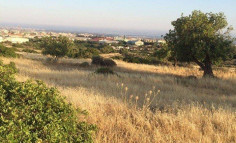 Large commercial for sale in Ypsonas