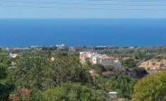 Residential 4348 m2 for sale in Tala, Paphos