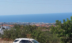 Residential 4348 m2 for sale in Tala, Paphos