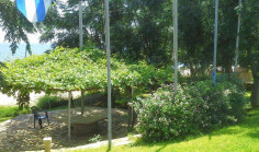 6 bedroom house with swimming pool for sale in Chloraka