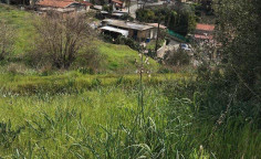 (residential) in Arakapas, Limassol for sale , Limassol