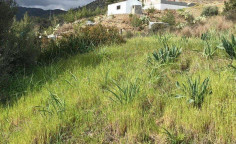 (residential) in Arakapas, Limassol for sale , Limassol