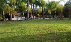 4 bedroom bungalow with swimming pool for sale in Pyrgos