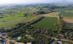 Residential 13137 m2 for sale in Mazotos, Larnaca