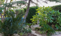 Beautiful 4 bedroom house with swimming pool for sale in Agios Athanasios