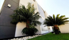 Commercial (building) in Old Town, Limassol for sale 
