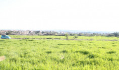 Residential 7873 m2 for sale in Tala, Paphos