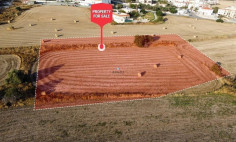 Field in Tersefanou, Larnaca , Larnaca