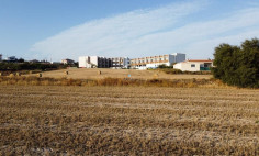 Field in Tersefanou, Larnaca , Larnaca