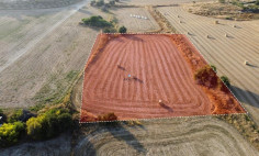 Field in Tersefanou, Larnaca , Larnaca