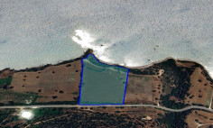 Residential 33446 m2 for sale in Neo Chorio, Paphos