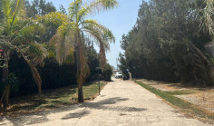 House (detached) in Armenochori, Limassol for sale 