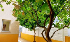 Spacious 3 bedroom house for sale in Aradippou