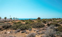 Sea front field in Pissouri, Limassol , Limassol