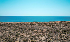 Land 15199 m2 for sale in Pissouri, Limassol