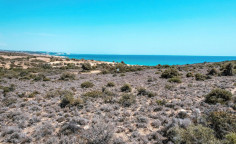 Land 15199 m2 for sale in Pissouri, Limassol