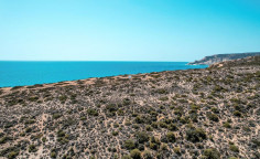 Land 15199 m2 for sale in Pissouri, Limassol