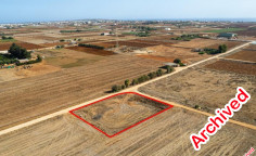 Field in Xylofagou, Larnaca 