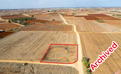 Field in Xylofagou, Larnaca 