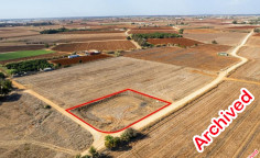 Field in Xylofagou, Larnaca 