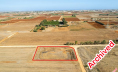 Field in Xylofagou, Larnaca 