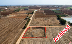 Field in Xylofagou, Larnaca 