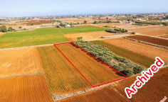 Agricultural 3067 m2 for sale in Xylofagou