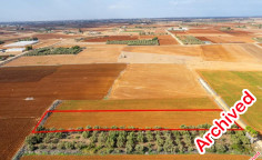 Agricultural 3067 m2 for sale in Xylofagou