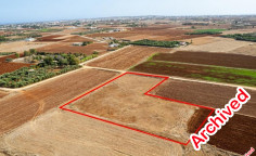 Agricultural 5743 m2 for sale in Xylofagou