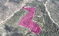 Agricultural field, Louvaras, Limassol , Limassol