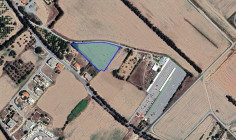 Field in Meneou, Larnaca , Larnaca