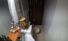 3 bedroom house in Aradippou 