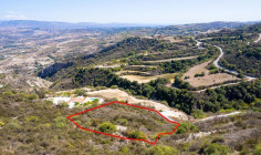 Residential field in theletra, Paphos , Paphos Residential field in theletra, Paphos , Paphos