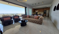Modern Panthea penthouse with pool and gym 