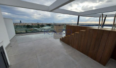 Modern Panthea penthouse with pool and gym 
