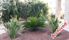 Luxury 4 bedroom house to rent in Strovolos