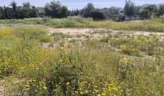 Large land for sale in Strovolos, Nicosia