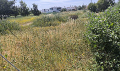 Large land for sale in Strovolos, Nicosia