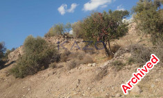 Residential land for sale in Akrounta , Limassol