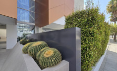 Beautiful commercial for sale in Engomi