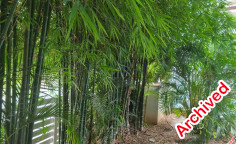 Modern four bedroom house in peaceful Agios Athanasios 