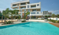 Beautiful three bedroom apartment with pool in Agios Tychonas 